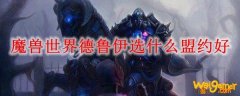 魔兽世界德鲁伊选什么盟约好