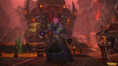 《魔兽世界》2021人口普查