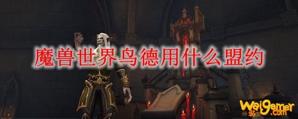 魔兽世界鸟德用什么盟约