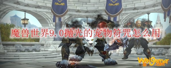 魔兽世界9.0抛光的宠物符咒怎么用