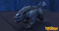 魔兽世界9.0全猎人宠物刷新地点 9.0猎人宠物获取方法大全