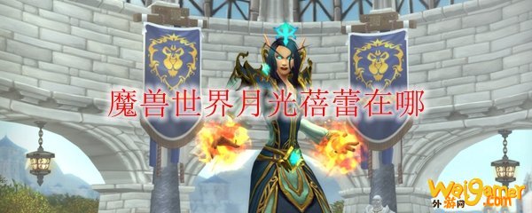 魔兽世界月光蓓蕾在哪