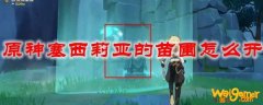 原神塞西莉亚的苗圃怎么开
