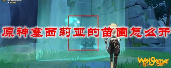 原神塞西莉亚的苗圃怎么开