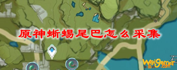 原神蜥蜴尾巴怎么采集