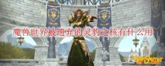 魔兽世界被遗弃的灵豹之核有什么用