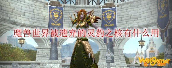 魔兽世界被遗弃的灵豹之核有什么用