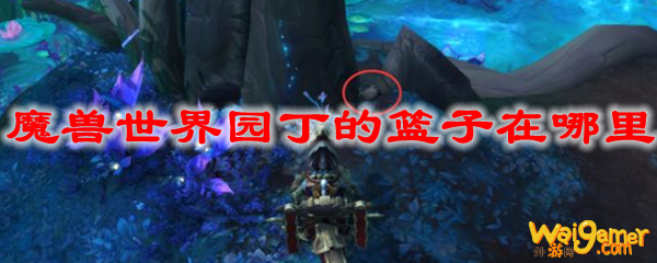 魔兽世界园丁的篮子在哪里
