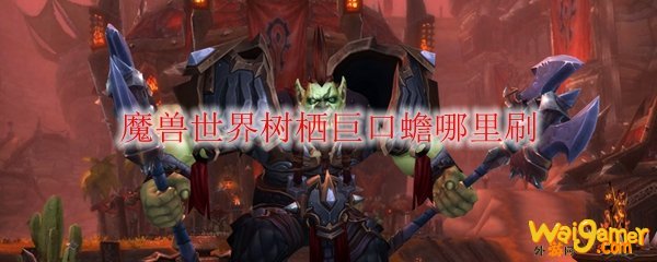 魔兽世界树栖巨口蟾哪里刷