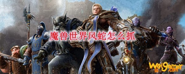 魔兽世界风蛇怎么抓