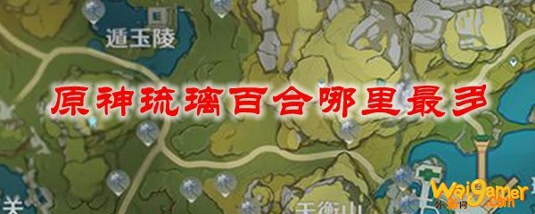 原神琉璃百合哪里最多