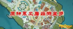 原神慕风蘑菇哪里多