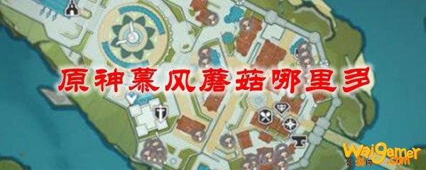 原神慕风蘑菇哪里多