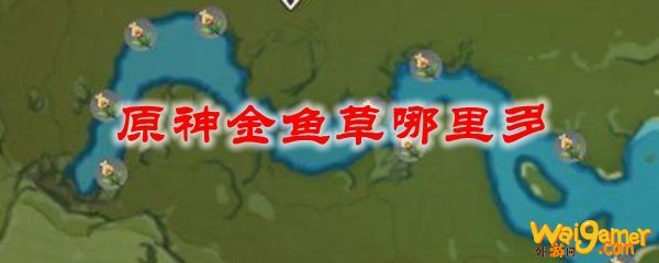原神金鱼草哪里多