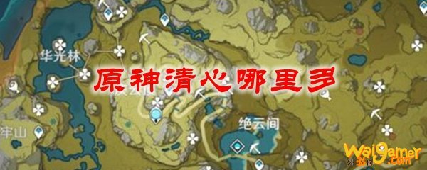 原神清心哪里多