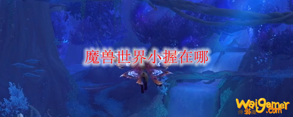 魔兽世界小握在哪