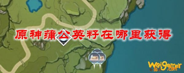 原神蒲公英籽在哪里获得
