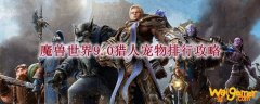 魔兽世界9.0猎人宠物排行攻略