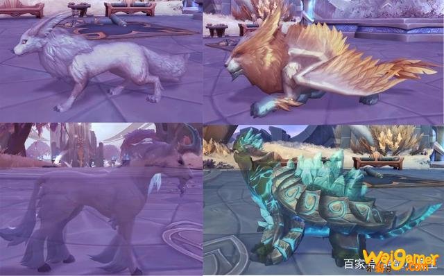 魔兽世界9.0猎人宠物排行攻略