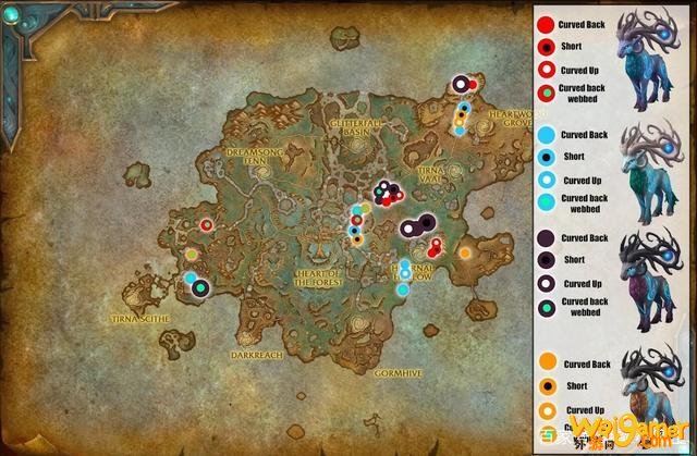 魔兽世界9.0猎人宠物排行攻略