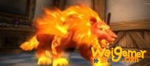 魔兽世界9.0火猫怎么幻化