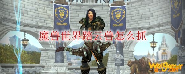 魔兽世界踏云兽怎么抓