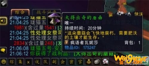 魔兽世界潮湿的沃土获取方法 蛤蟆坐骑怎么得