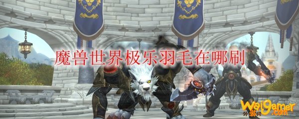 魔兽世界极乐羽毛在哪刷