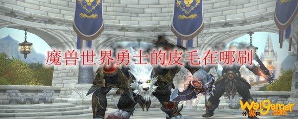 魔兽世界勇士的皮毛在哪刷