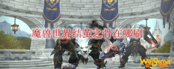 魔兽世界结茧之骨在哪刷
