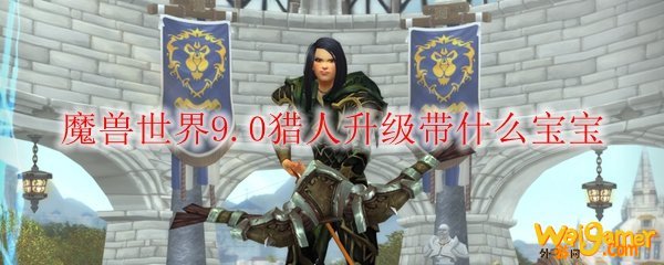 魔兽世界9.0兽王猎人升级带什么宝宝
