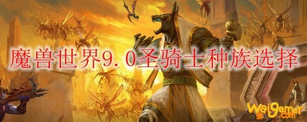 魔兽世界9.0联盟圣骑士选什么种族