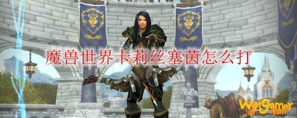 魔兽世界卡莉丝塞茵怎么打