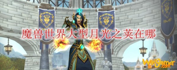 魔兽世界大型月光之荚在哪