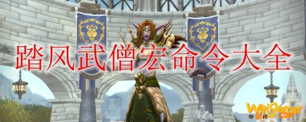 《魔兽世界》9.0踏风武僧宏命令大全