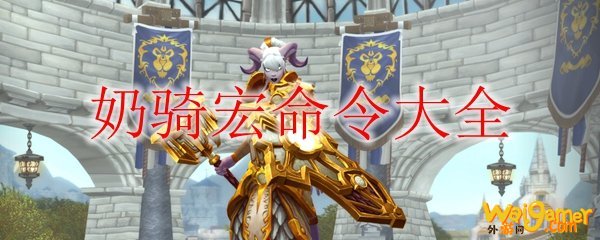 《魔兽世界》9.0奶骑宏命令大全