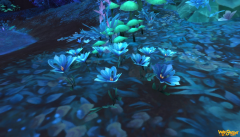 《魔兽世界》芬芳花朵介绍