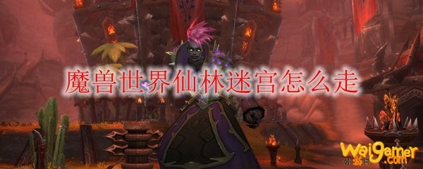 魔兽世界仙林迷宫怎么走