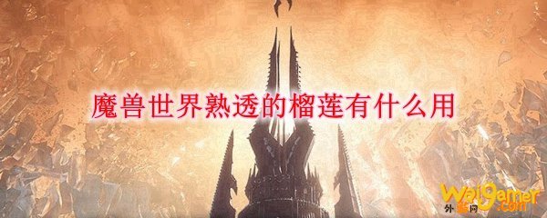魔兽世界熟透的榴莲有什么用