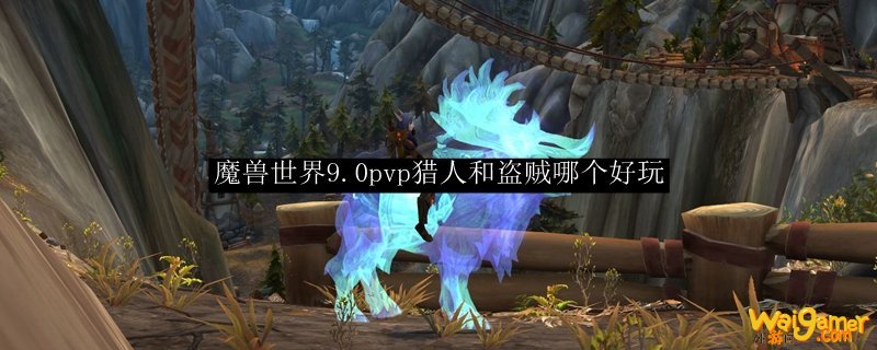 魔兽世界9.0pvp猎人和盗贼哪个好玩