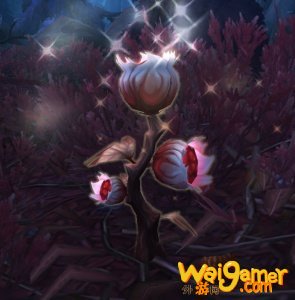 《魔兽世界》孀花怎么获得