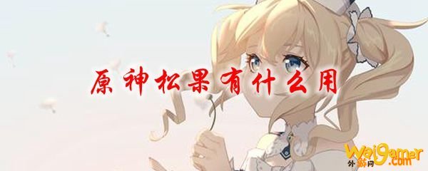 原神松果有什么用