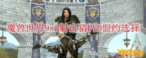 魔兽世界9.0射击猎PVP盟约选择