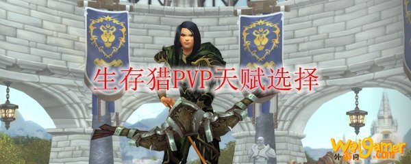 魔兽世界9.0生存猎PVP天赋选择