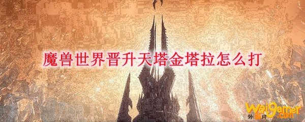 魔兽世界晋升天塔金塔拉怎么打
