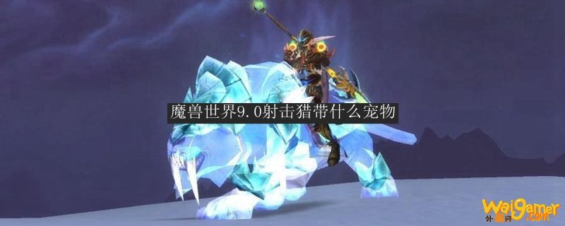 魔兽世界9.0射击猎带什么宠物